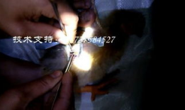 阉割视频,背后真相与伦理探讨